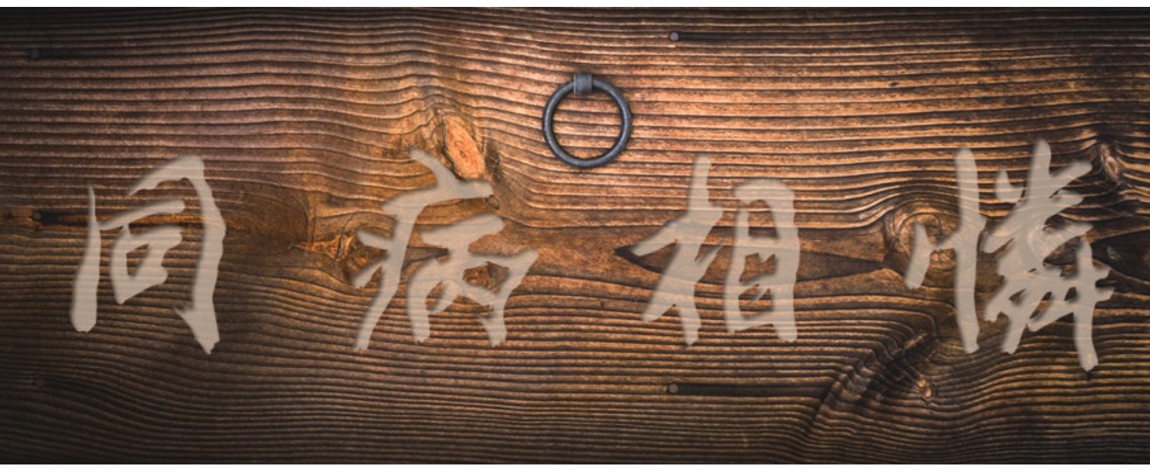 동병상련 (同病相憐)