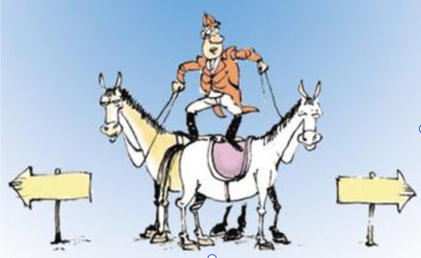 유예부결 (猶豫不決)